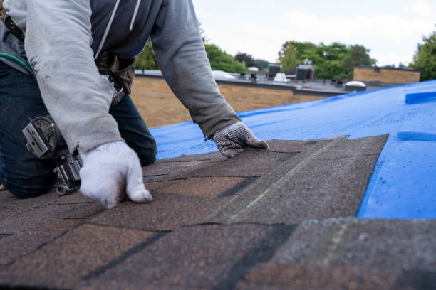 Best Storm Damage Roof Repair  in Fairfield University, CT